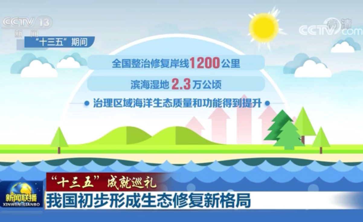 我國(guó)初步形成生態(tài)修復(fù)新格局