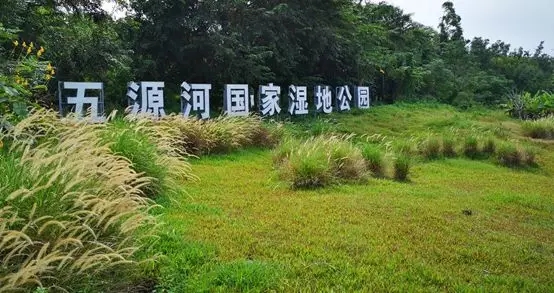 【案例賞析】?？谖逶春訃?guó)家濕地公園